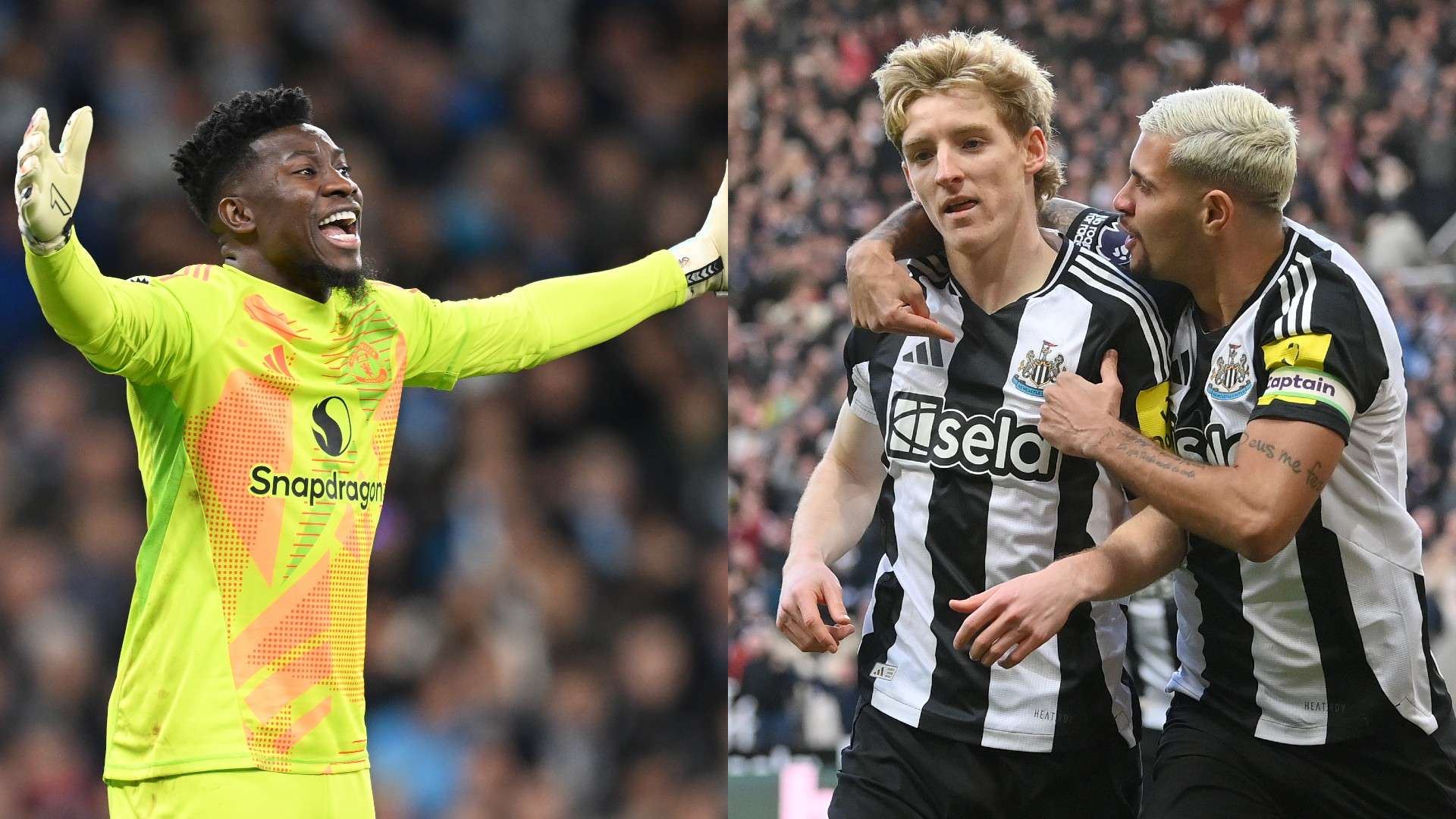 在职业生涯 在职业生涯