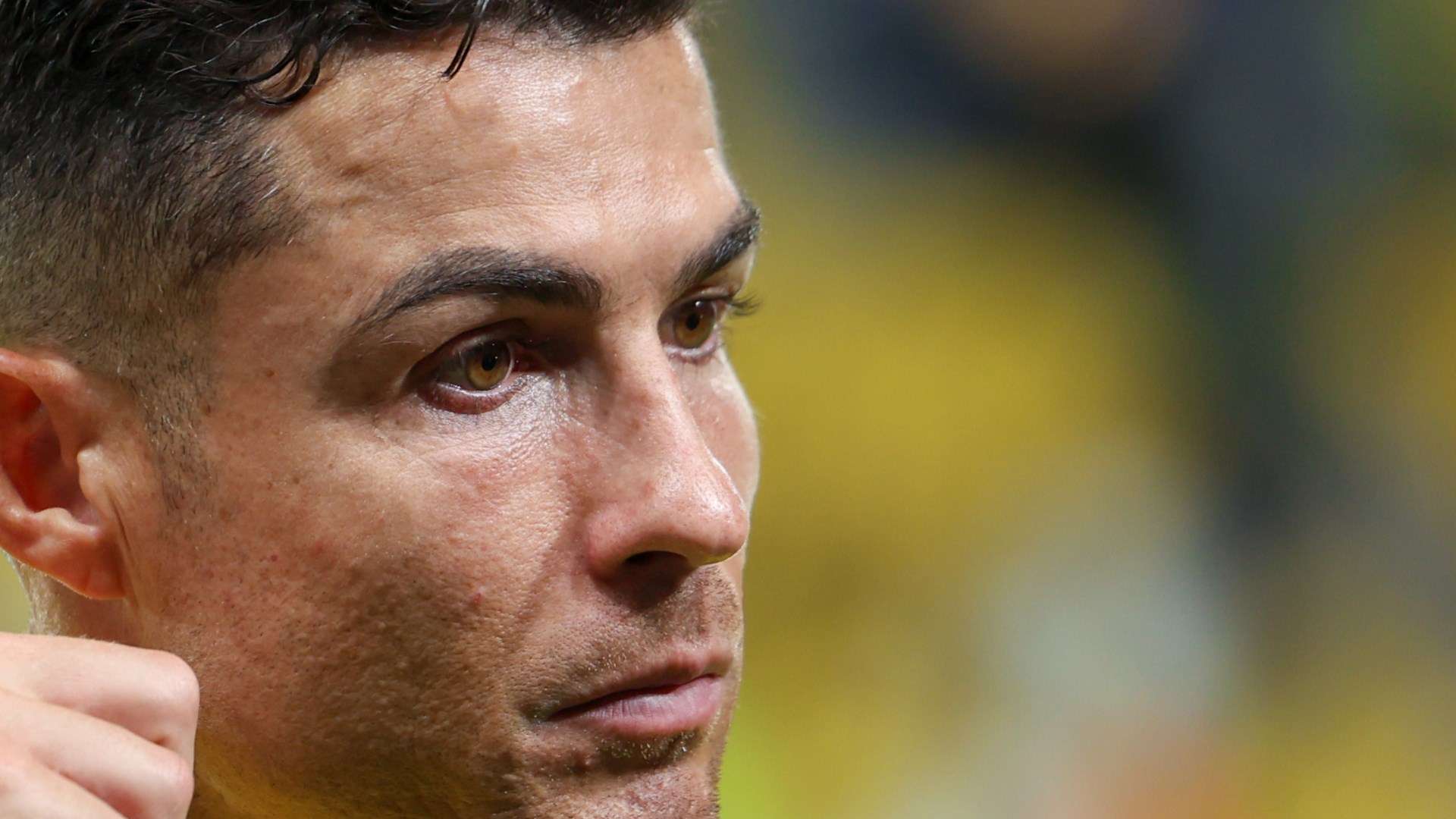 威尔希尔的 威尔希尔的