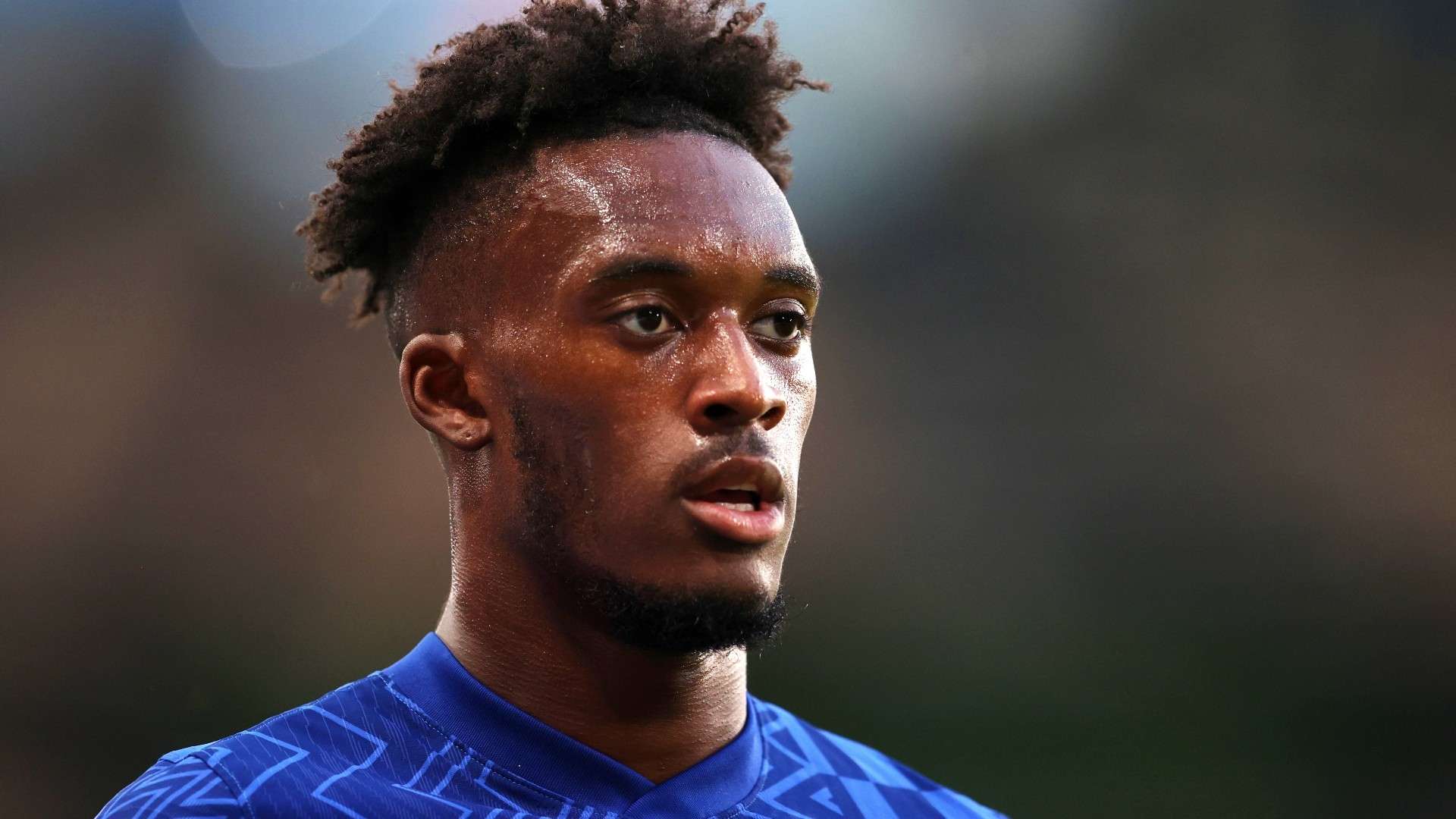 拥有着强大 拥有着强大